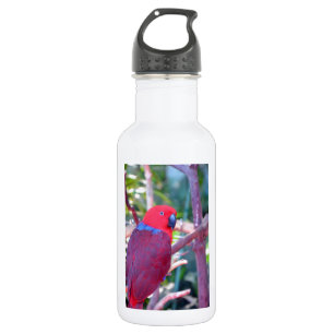 Papagei Edelstahlflasche