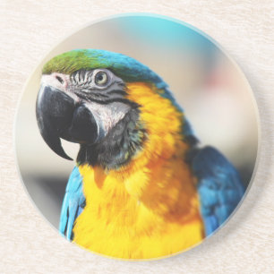 Papagei Getränkeuntersetzer