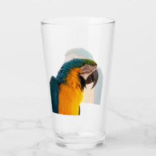 Papagei Glas