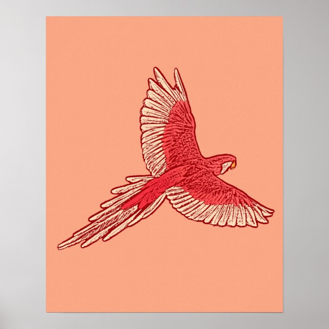Papagei im Flug, Korallenorange und Creme Poster (Vorne)
