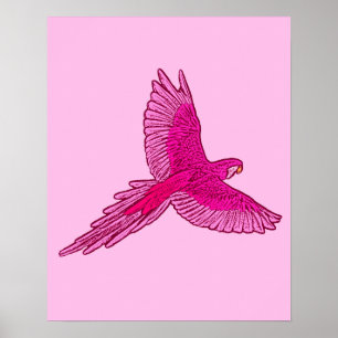 Papagei in Flight, Fuchsia und Eispink Poster