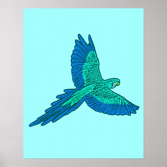 Papagei in Flug, Aqua und Cobalt Blue Poster (Vorne)