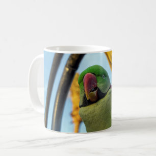 Papagei Kaffeetasse