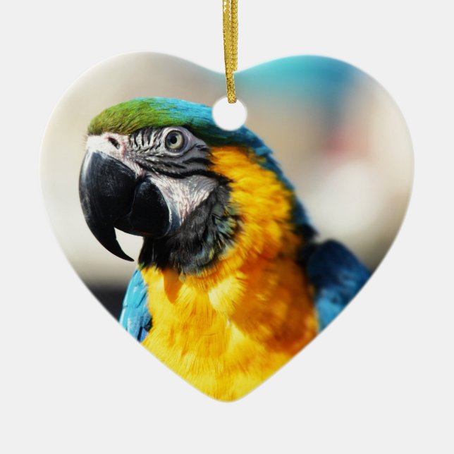 Papagei Keramik Ornament (Vorne)