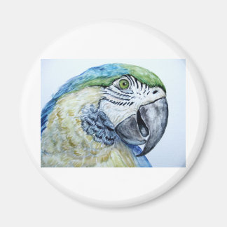 Papagei Magnet