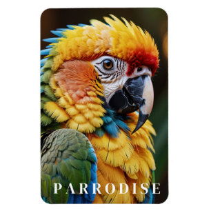 Papagei Magnet