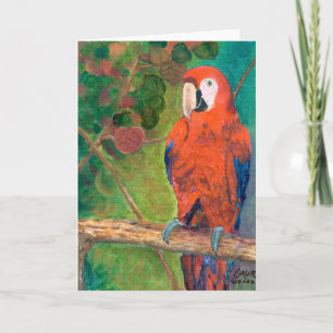 Papagei mit Seagrapes Karte