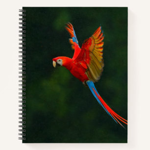 Papagei Notizbuch