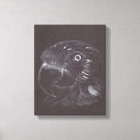 Papagei - Original Zeichn - Leinwand