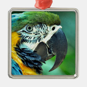 Papagei Ornament Aus Metall