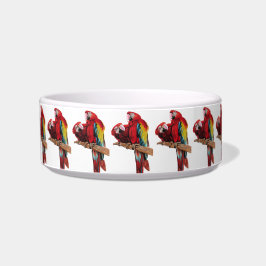Papagei Papagei Rote Vögel Bird Drink Bowl Napf