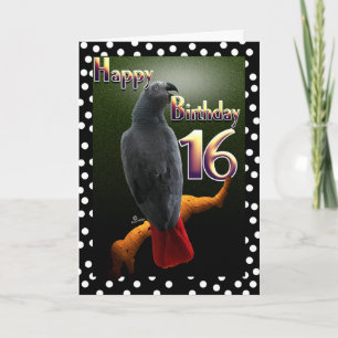 Papagei-Papageienvogelpolka Punkt 16 Geburtstag Karte