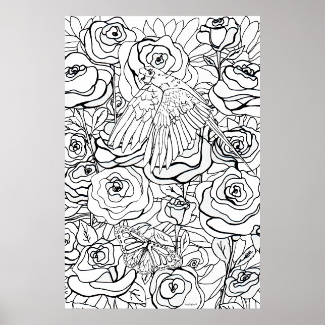 Papagei Poster (Vorne)