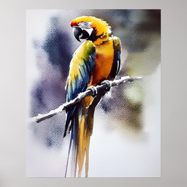Papagei Poster (Vorne)