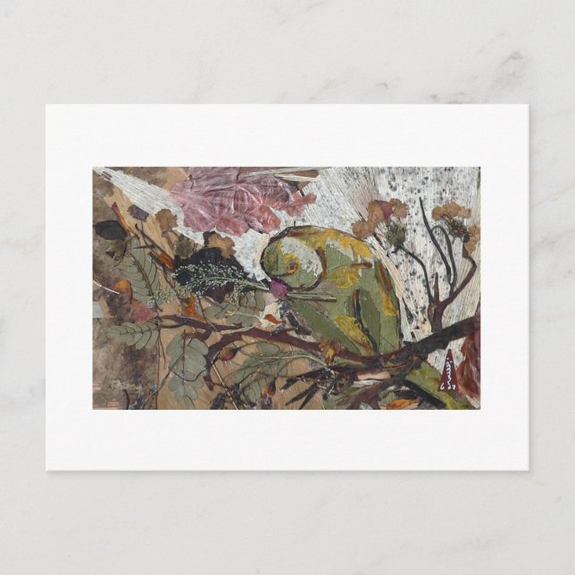 Papagei Postkarte (Vorderseite)