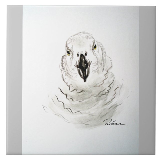 Papagei sieht dich an. . . fliese (Vorderseite)