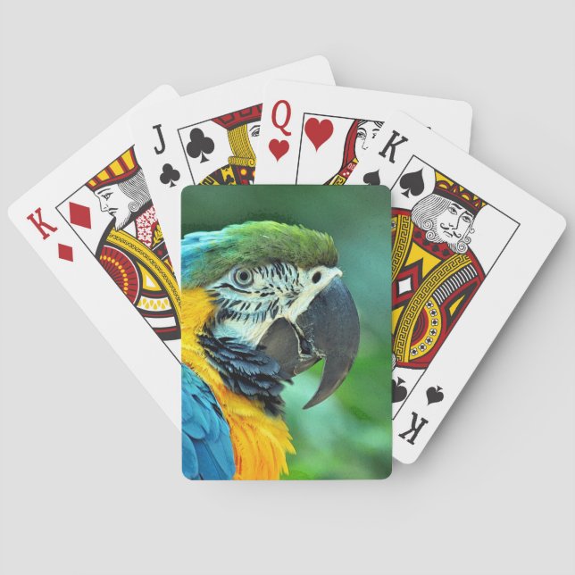 Papagei Spielkarten (Rückseite)