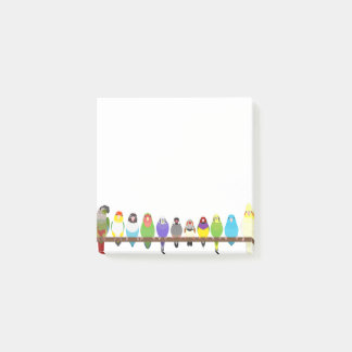 Papagei Sticky Notes Post-it Klebezettel