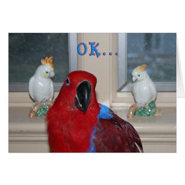 Papagei themenorientiert (Vorderseite (Horizontal))