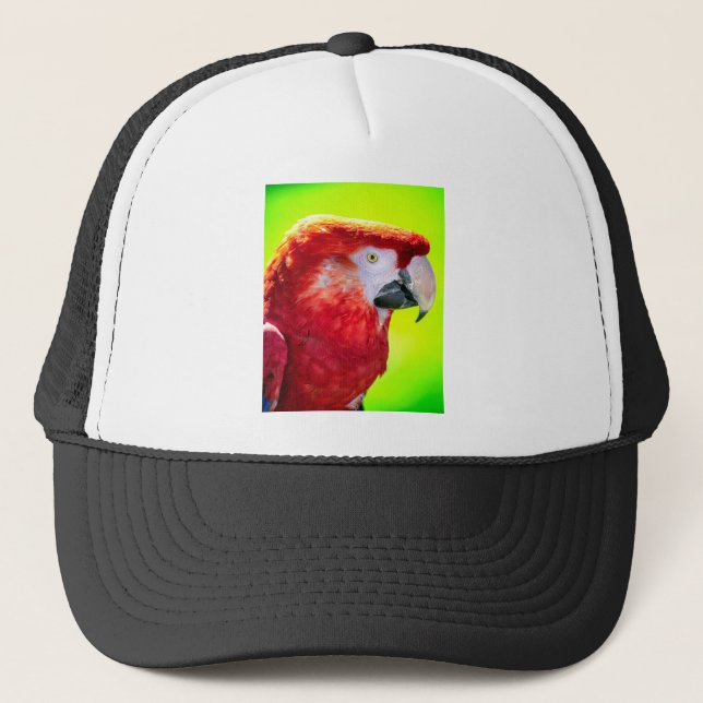Papagei Truckerkappe (Vorderseite)