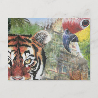 Papagei und Tiger Postkarte