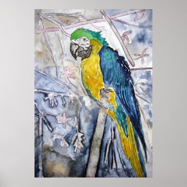 Papagei_Vogel_Anstrich Poster (Vorne)