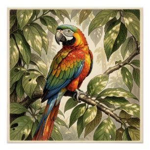 Papagei Vogel auf Baum Zeichnung Poster