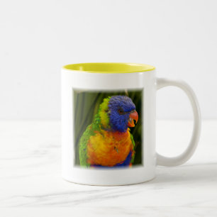 Papagei Zweifarbige Tasse