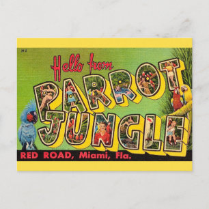 Papageien-Dschungel Miami Vintage-Postkarte Postkarte