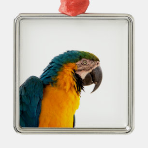 Papageien-Post-it-Notizen Ornament Aus Metall