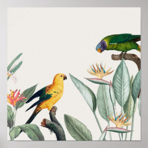 Papageien Poster