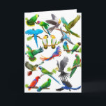 Papageien-reichlich Karte<br><div class="desc">Entwerfen Sie die Aufmachung einer Montage der ursprünglichen Papageiengrafik des Designers Carolyn McFann von zwei schnurrendem Katzen-Studio.</div>