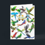 Papageien-reichlich Karte<br><div class="desc">Entwerfen Sie die Aufmachung einer Montage der ursprünglichen Papageiengrafik des Designers Carolyn McFann von zwei schnurrendem Katzen-Studio.</div>