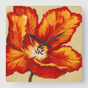 Papageien-Tulpe I Quadratische Wanduhr