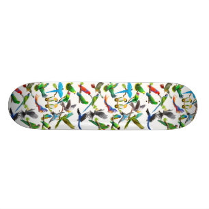 Papageien-verrücktes Skateboard