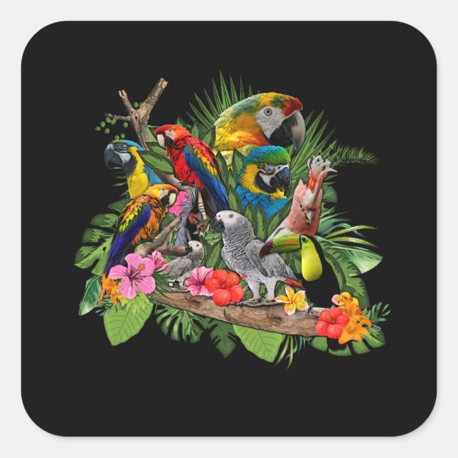 Papageien-Vogel-afrikanisches Quadratischer Aufkleber (Vorderseite)