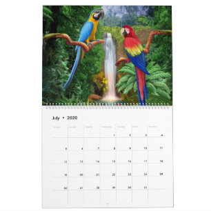 Papageien-Werben Kalender