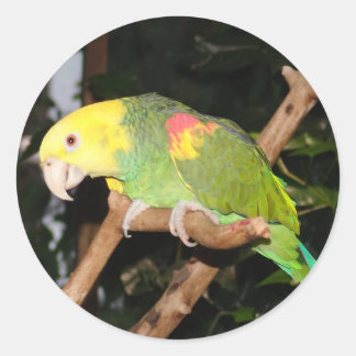 Papageienaufkleber Runder Aufkleber
