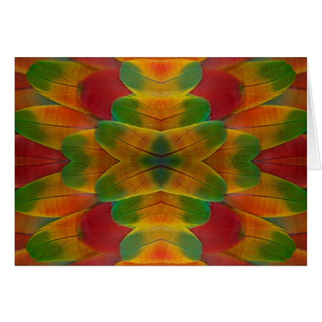 Papageienfeder Kaleidoskop (Vorderseite (Horizontal))