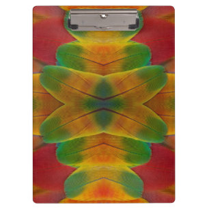 Papageienfeder Kaleidoskop Klemmbrett