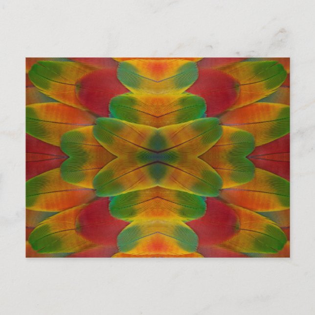 Papageienfeder Kaleidoskop Postkarte (Vorderseite)