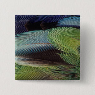 Papageienfeder-Musterdesign Button