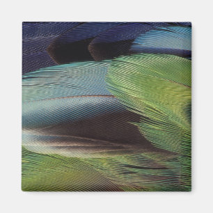 Papageienfeder-Musterdesign Magnet