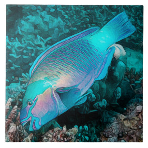 Papageienfisch Bunter Korallenriff Ozean Fisch Fliese