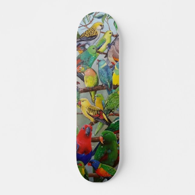 Papageienfliege Skateboard (Vorne)