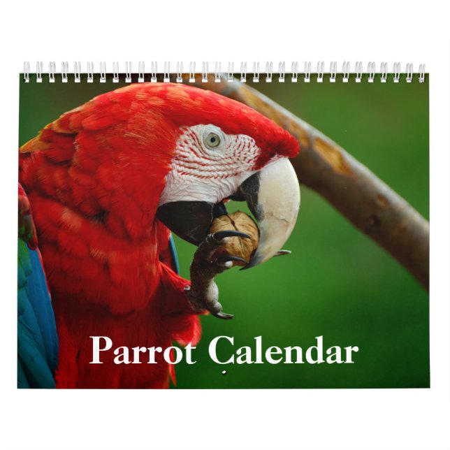 Papageienkalender 2025 kalender (Titelbild)