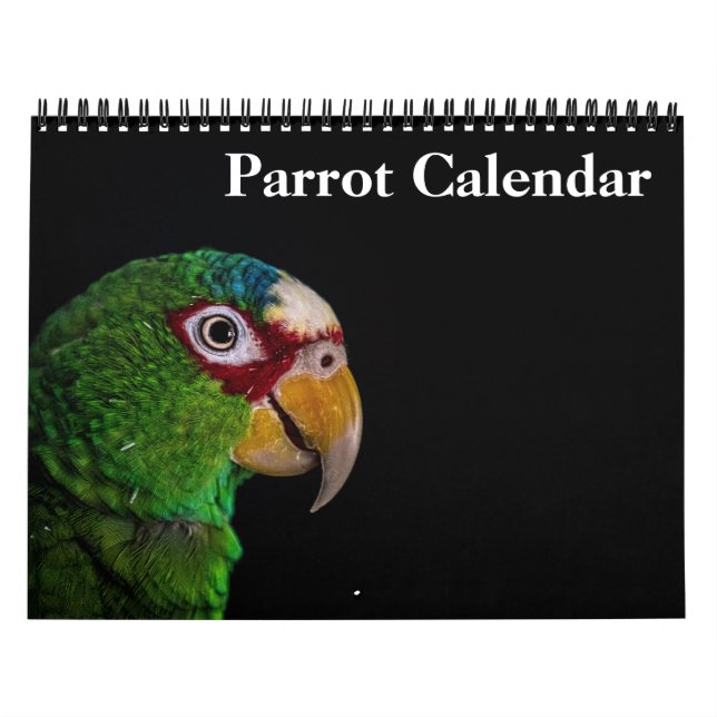 Papageienkalender 2025 kalender (Titelbild)