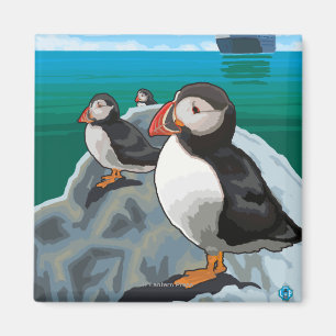 Papageientaucher, die ein Kreuzschiff aufpassen Magnet