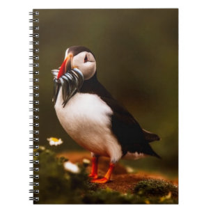 Papageientaucher Fisch Tier Vogel Wildleben Atlant Notizblock