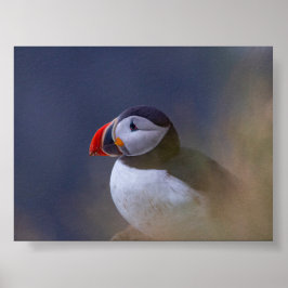 Papageientaucher in Island Poster